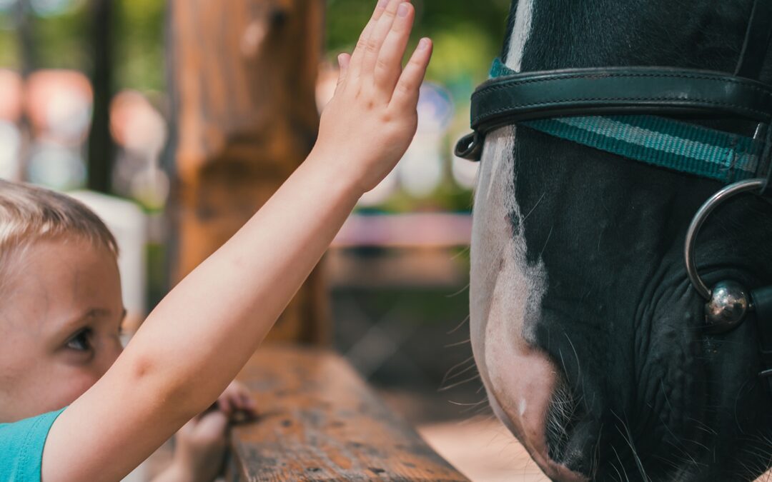 10 Ways to Increase Trust on your Website