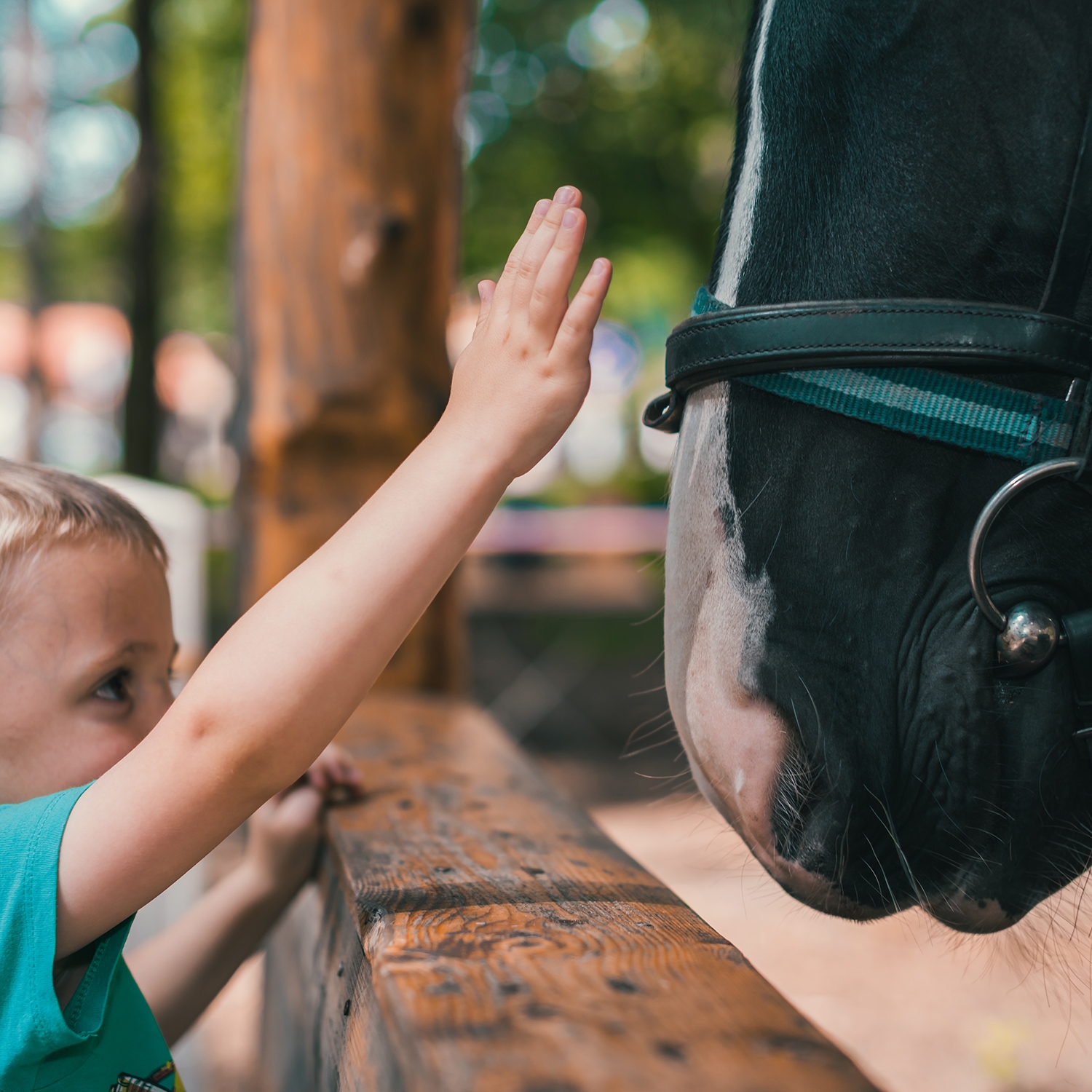 10 Ways to Increase Trust on your Website