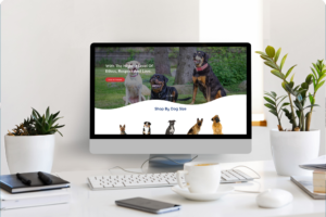 Website Audit Example - Digital Nomad Designs