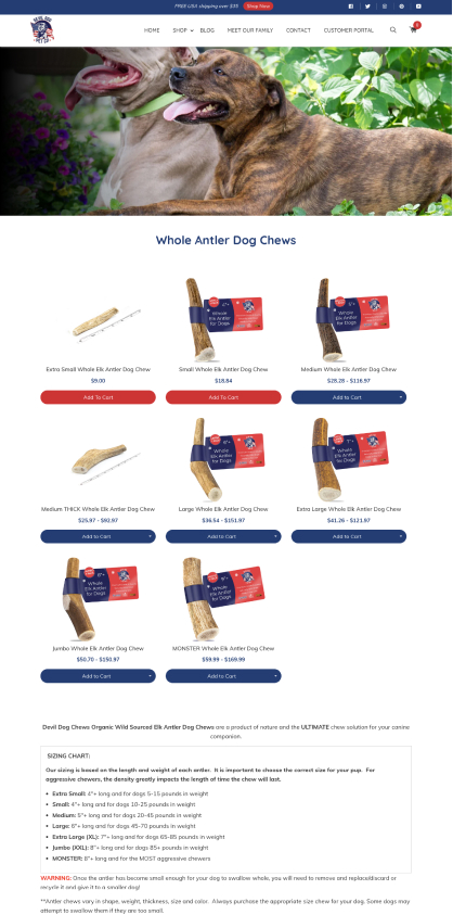 Second Column Top Image