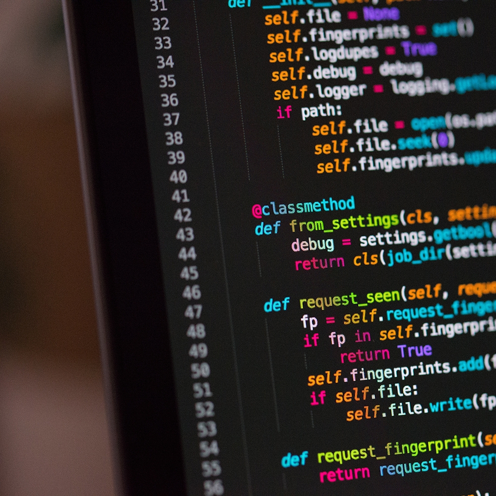 The Best Platform to Build your Website: The Pros and Cons of WordPress, Shopify, Squarespace, and Wix